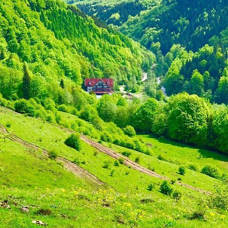 Cabana Izvoarele Doftanei Trăisteni エクステリア 写真