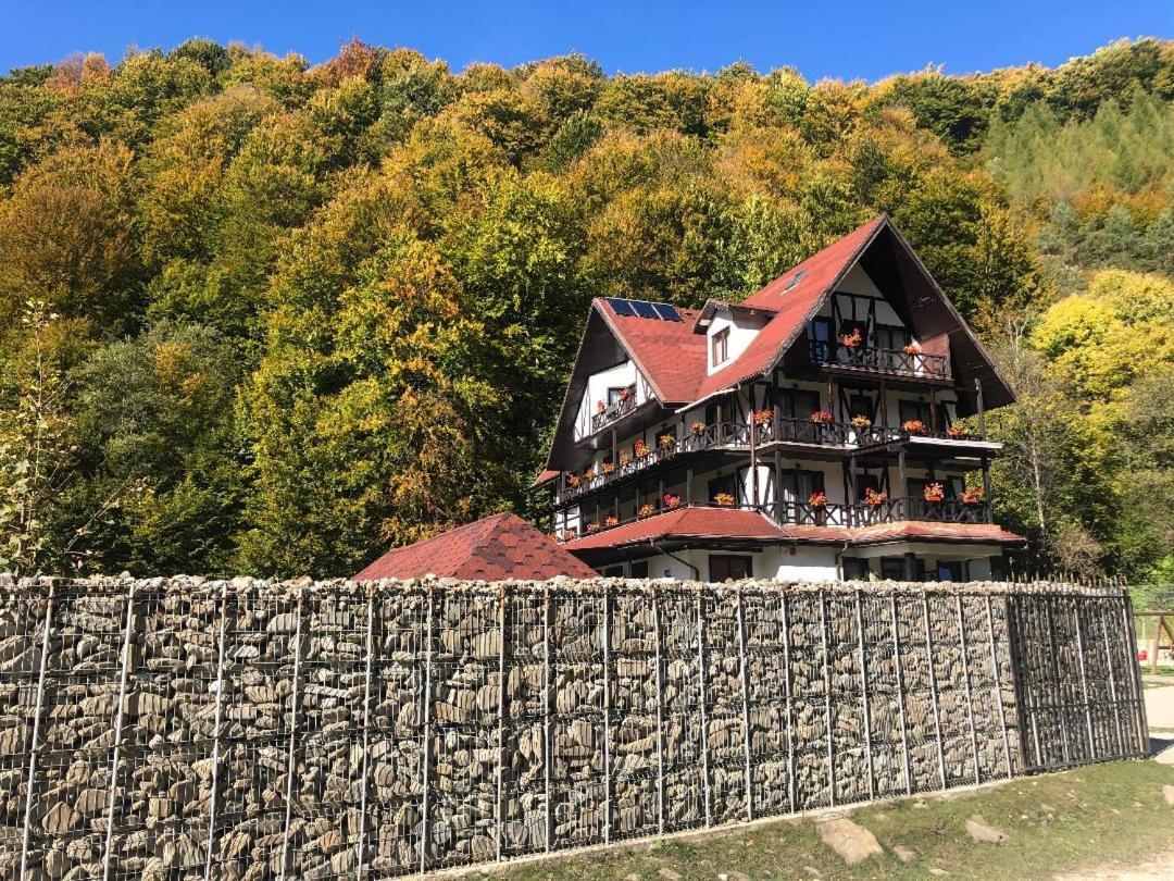 Cabana Izvoarele Doftanei Trăisteni エクステリア 写真